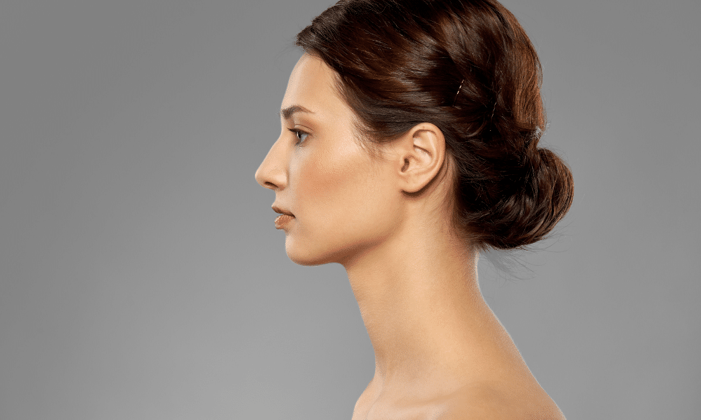 Also known as the aquiline nose, the Roman nose gives a curved or slightly bent shape due to the inflated nose bridge.