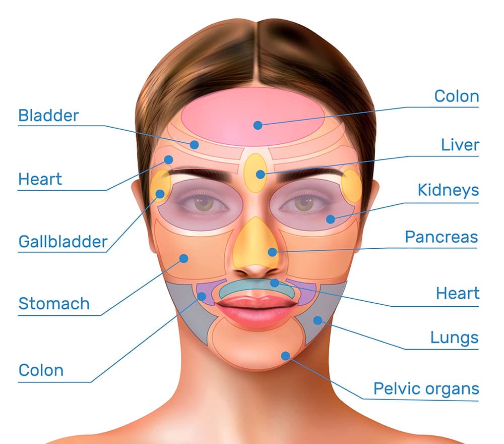 Facial Mapping - female face (map face areas)